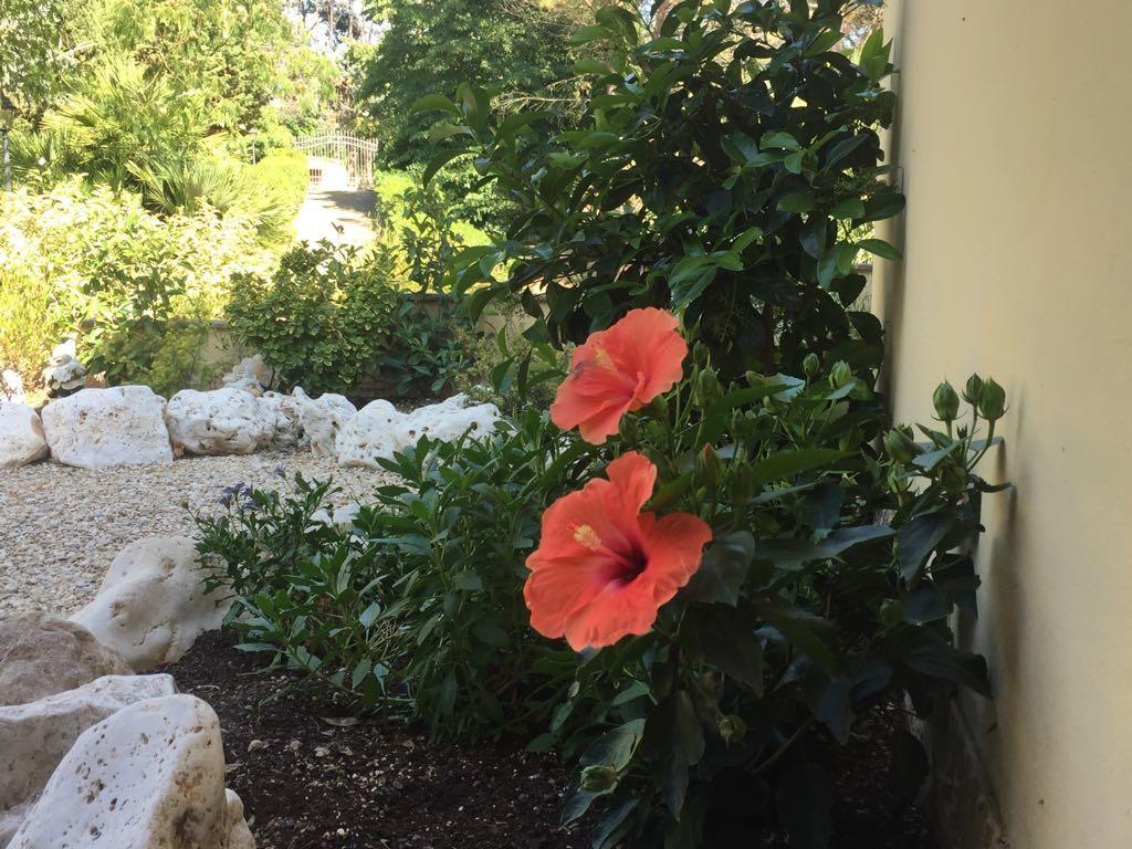Villa Gusto E Benessere Sacrofano Εξωτερικό φωτογραφία